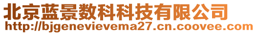 北京藍(lán)景數(shù)科科技有限公司