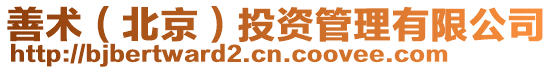 善術（北京）投資管理有限公司