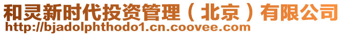 和靈新時(shí)代投資管理（北京）有限公司