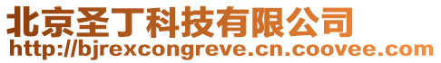 北京圣丁科技有限公司