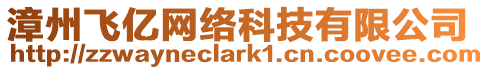漳州飛億網絡科技有限公司