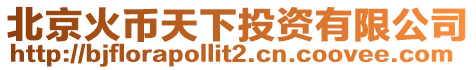 北京火幣天下投資有限公司