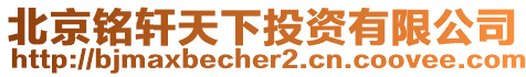 北京銘軒天下投資有限公司