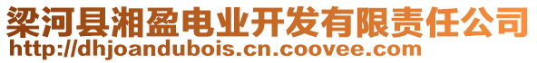 梁河縣湘盈電業(yè)開(kāi)發(fā)有限責(zé)任公司