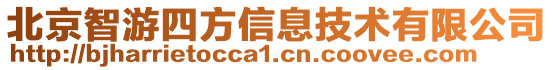 北京智游四方信息技術有限公司