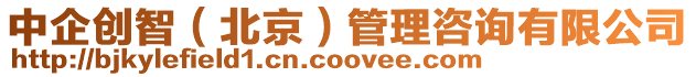 中企創(chuàng)智（北京）管理咨詢有限公司