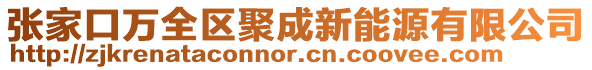 張家口萬全區(qū)聚成新能源有限公司