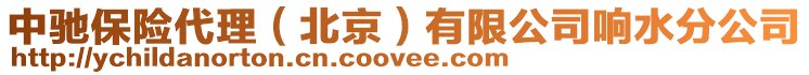 中馳保險(xiǎn)代理（北京）有限公司響水分公司