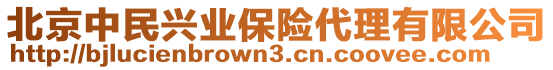 北京中民興業(yè)保險代理有限公司