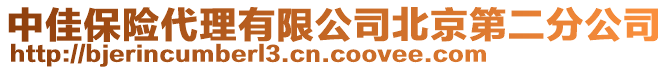 中佳保險代理有限公司北京第二分公司