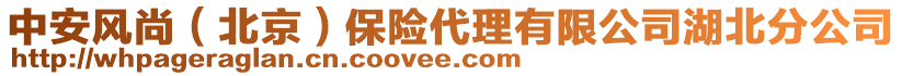 中安風尚(北京)保險代理有限公司湖北分公司