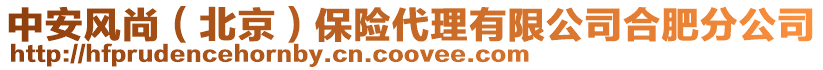 中安風尚(北京)保險代理有限公司合肥分公司
