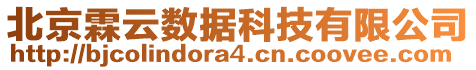 北京霖云數(shù)據(jù)科技有限公司