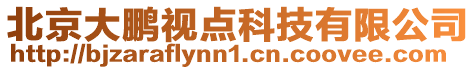 北京大鵬視點科技有限公司