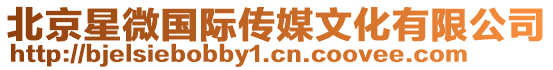 北京星微國(guó)際傳媒文化有限公司