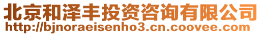 北京和澤豐投資咨詢有限公司