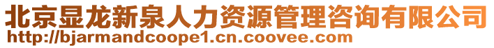 北京顯龍新泉人力資源管理咨詢有限公司