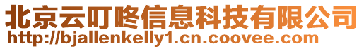 北京云叮咚信息科技有限公司