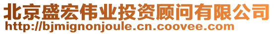北京盛宏偉業(yè)投資顧問有限公司