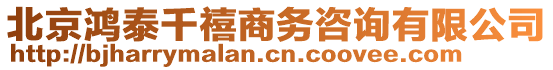 北京鴻泰千禧商務(wù)咨詢有限公司