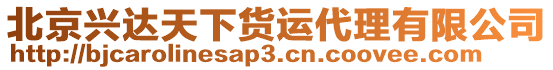 北京興達(dá)天下貨運(yùn)代理有限公司