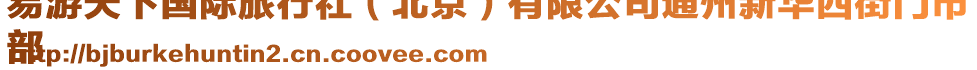 易游天下國(guó)際旅行社（北京）有限公司通州新華西街門市
部