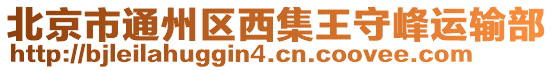 北京市通州區(qū)西集王守峰運輸部