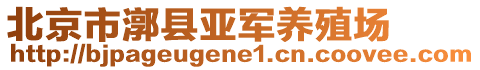 北京市漷縣亞軍養(yǎng)殖場