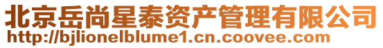 北京岳尚星泰資產管理有限公司