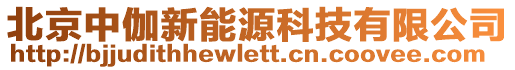 北京中伽新能源科技有限公司
