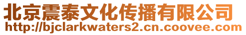 北京震泰文化傳播有限公司