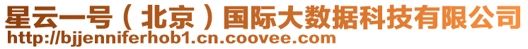 星云一號(北京)國際大數據科技有限公司