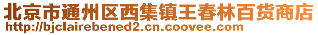 北京市通州區西集鎮王春林百貨商店