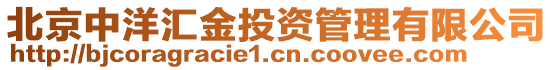 北京中洋匯金投資管理有限公司