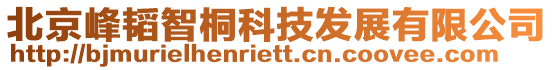 北京峰韜智桐科技發(fā)展有限公司