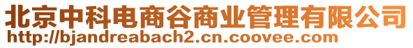 北京中科電商谷商業管理有限公司