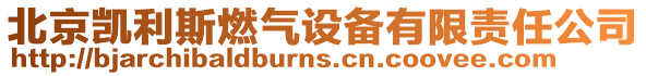 北京凱利斯燃氣設備有限責任公司