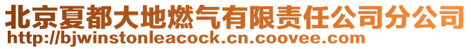 北京夏都大地燃?xì)庥邢挢?zé)任公司分公司