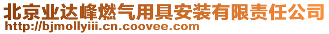 北京業(yè)達(dá)峰燃?xì)庥镁甙惭b有限責(zé)任公司