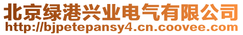 北京綠港興業電氣有限公司