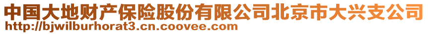 中國大地財產(chǎn)保險股份有限公司北京市大興支公司