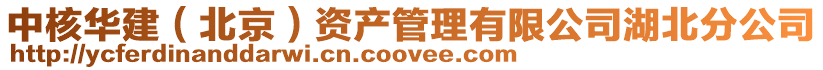中核華建（北京）資產(chǎn)管理有限公司湖北分公司