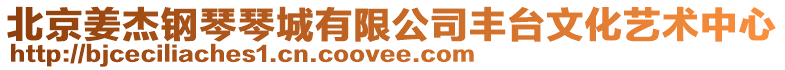 北京姜杰鋼琴琴城有限公司豐臺文化藝術中心