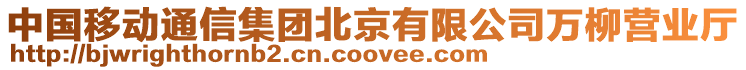 中國移動通信集團(tuán)北京有限公司萬柳營業(yè)廳