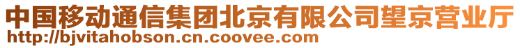 中國移動通信集團北京有限公司望京營業廳