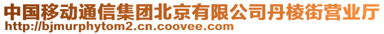 中國移動通信集團北京有限公司丹棱街營業廳