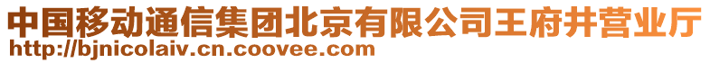 中國移動通信集團北京有限公司王府井營業廳