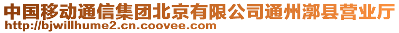 中國移動通信集團北京有限公司通州漷縣營業廳