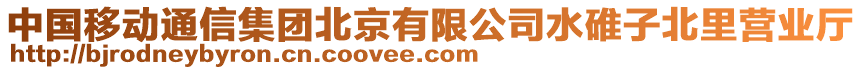 中國(guó)移動(dòng)通信集團(tuán)北京有限公司水碓子北里營(yíng)業(yè)廳