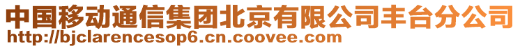 中國移動通信集團北京有限公司豐臺分公司